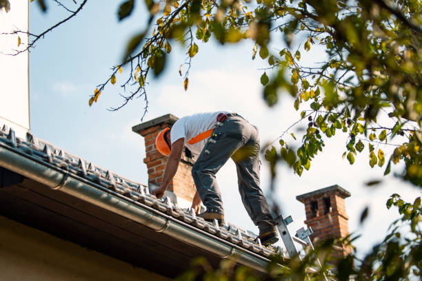 Best Roof Gutter Cleaning  in Sandstone, MN