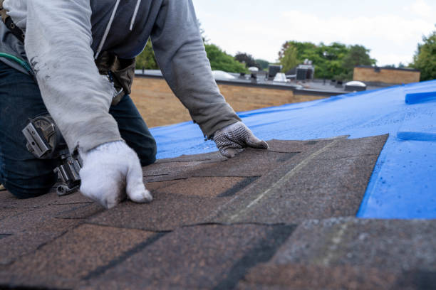 Best New Roof Installation  in Sandstone, MN
